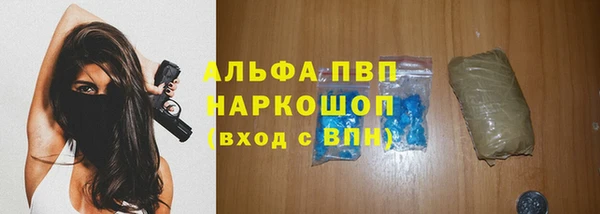 стаф Алексин
