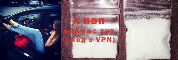 гашик Абаза