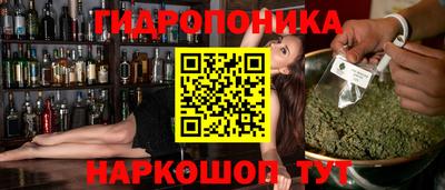 молекула духа Владивосток