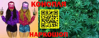 молекула духа Владивосток